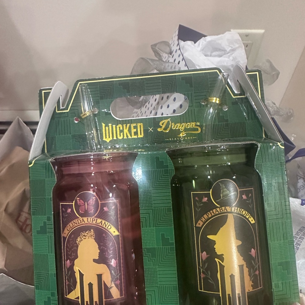 Wicked x Dragons Tumbler Cup Set